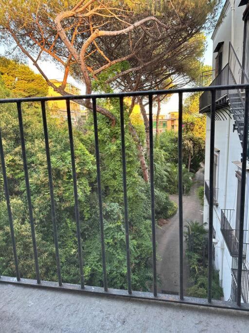 Mediterraneo Apartment エルコラーノ エクステリア 写真